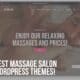best massage salon wordpress themes