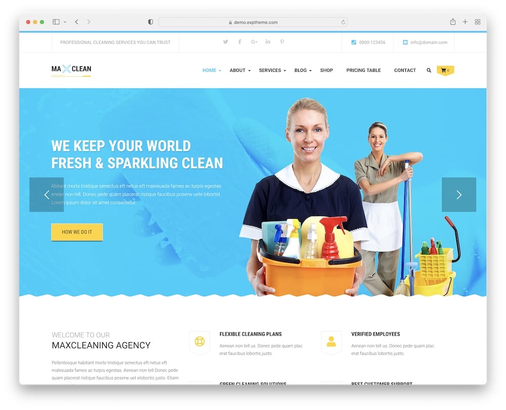 13 Best Cleaning Company WordPress Themes (2022) - ULTIDA