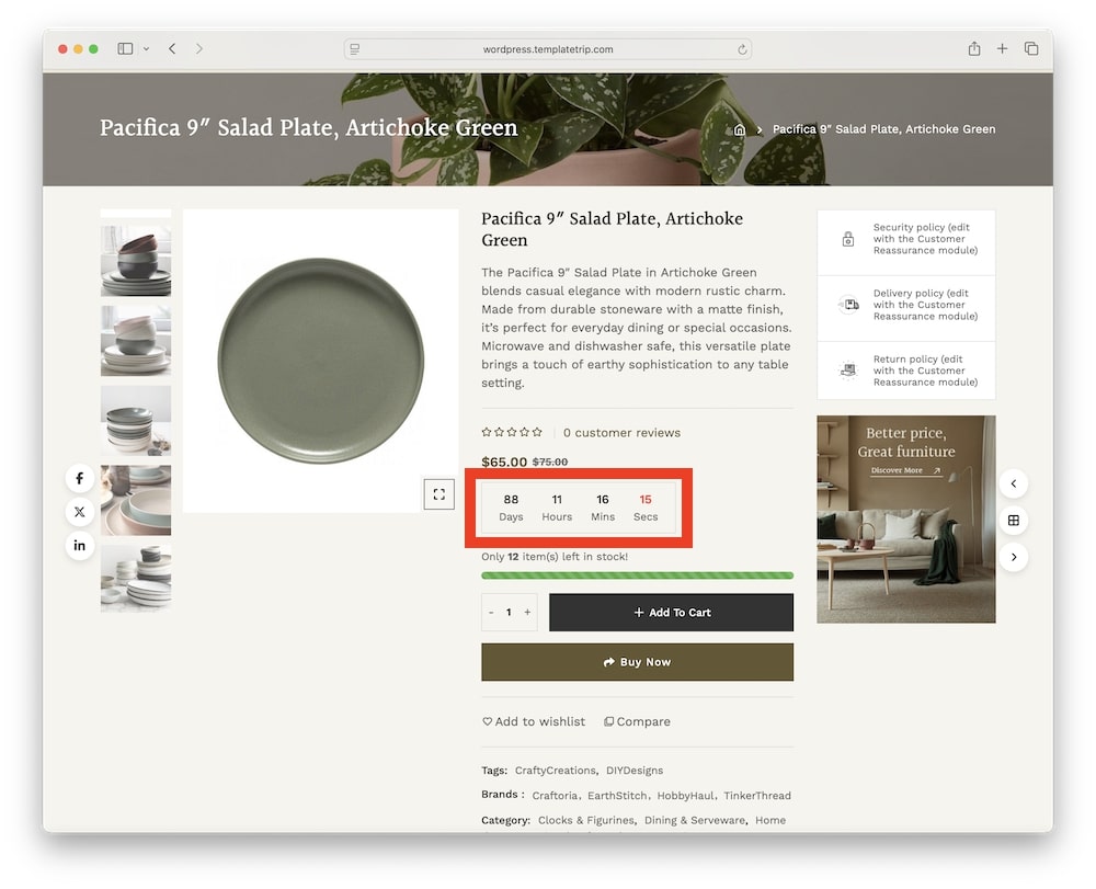 mitti wordpress theme countdown timer