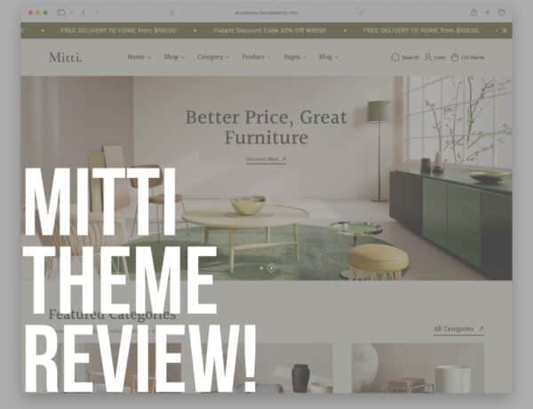 mitti wordpress theme review