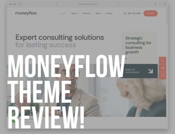 moneyflow wordpress financial theme review