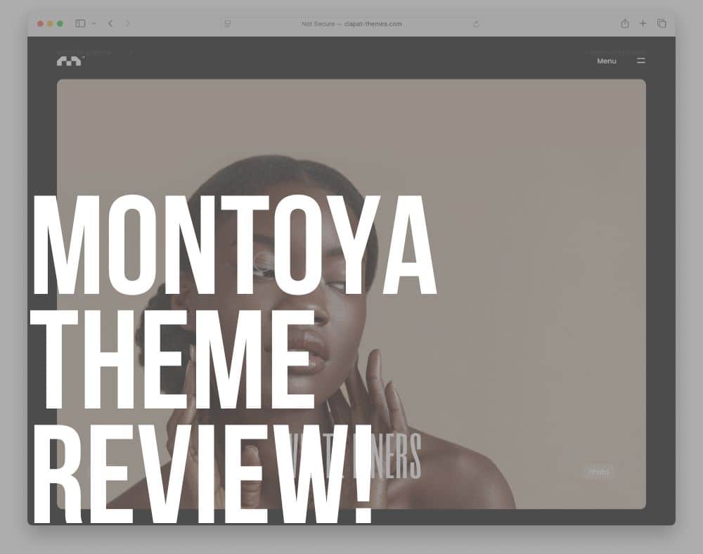 montoya creative wordpress theme review