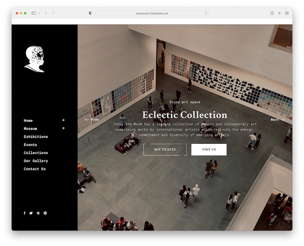 mooseoom wordpress gallery museum theme