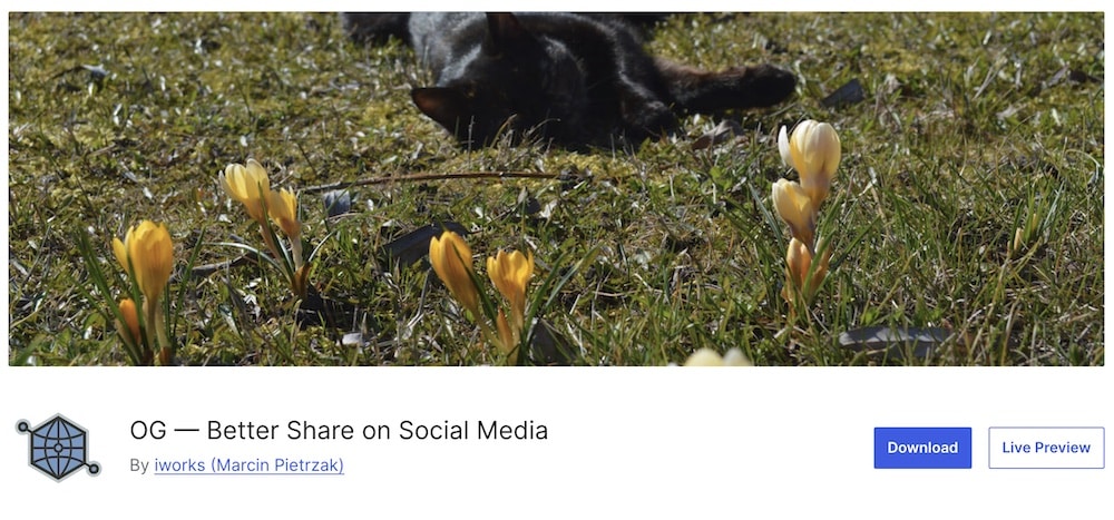 og better share on social media free wp plugin