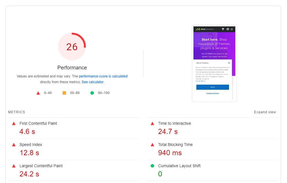 pageinsight very slow website