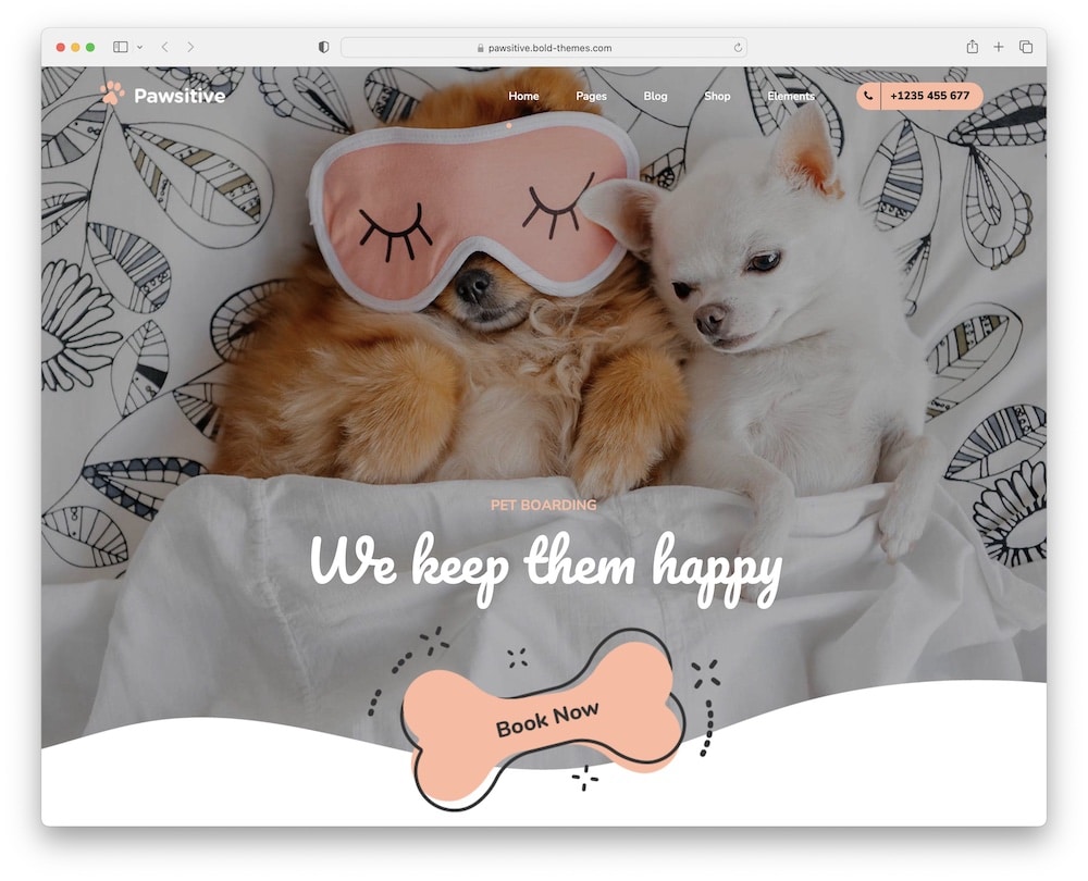 Pawsitive Pet Grooming And Care Wordpress Theme 