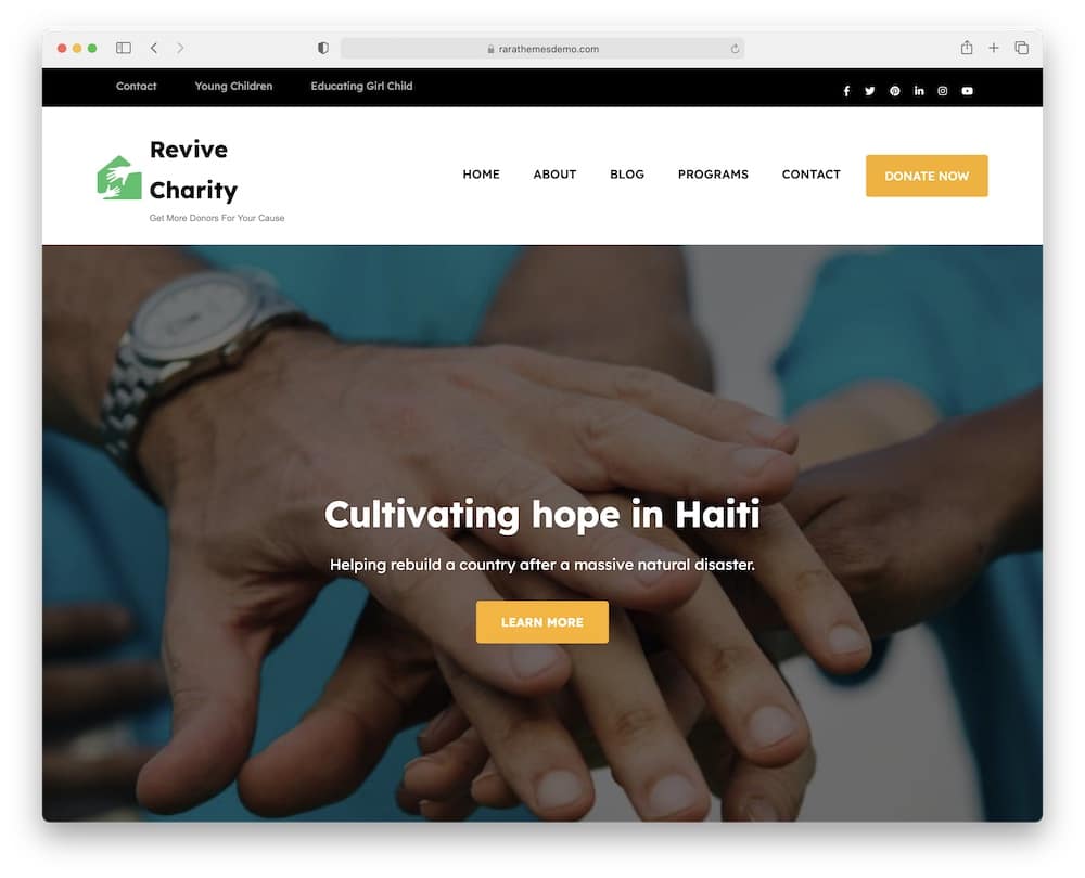 revive charity free wordpress theme