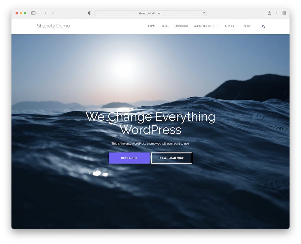 Shapely Free Wordpress Theme 