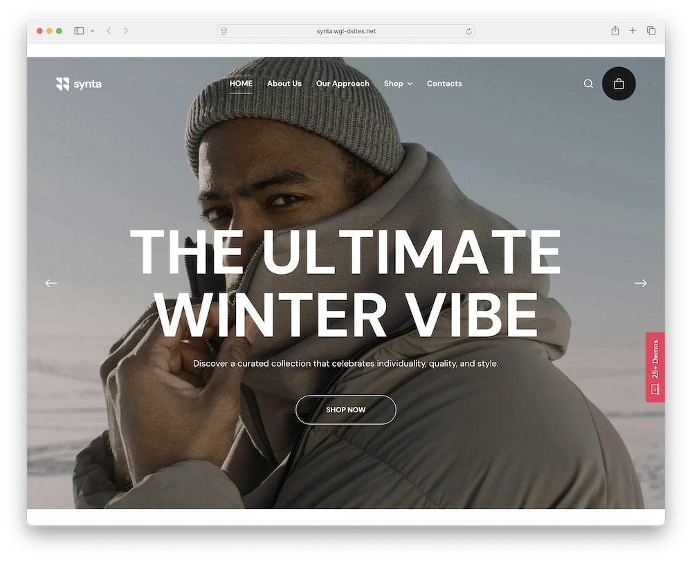 synta wordpress theme one click demo import