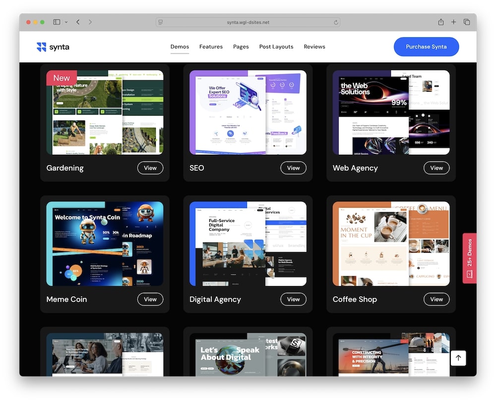 synta wordpress theme predefined demos
