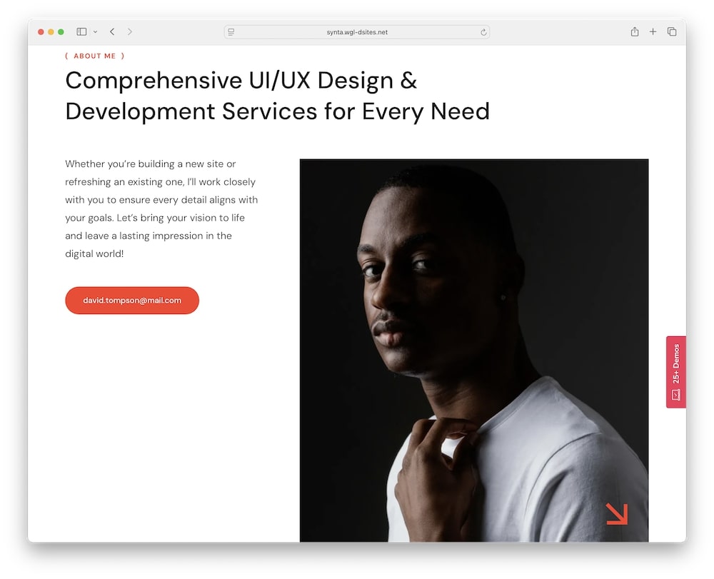 synta wordpress theme predefined internal pages