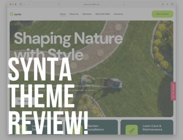 synta wordpress theme review