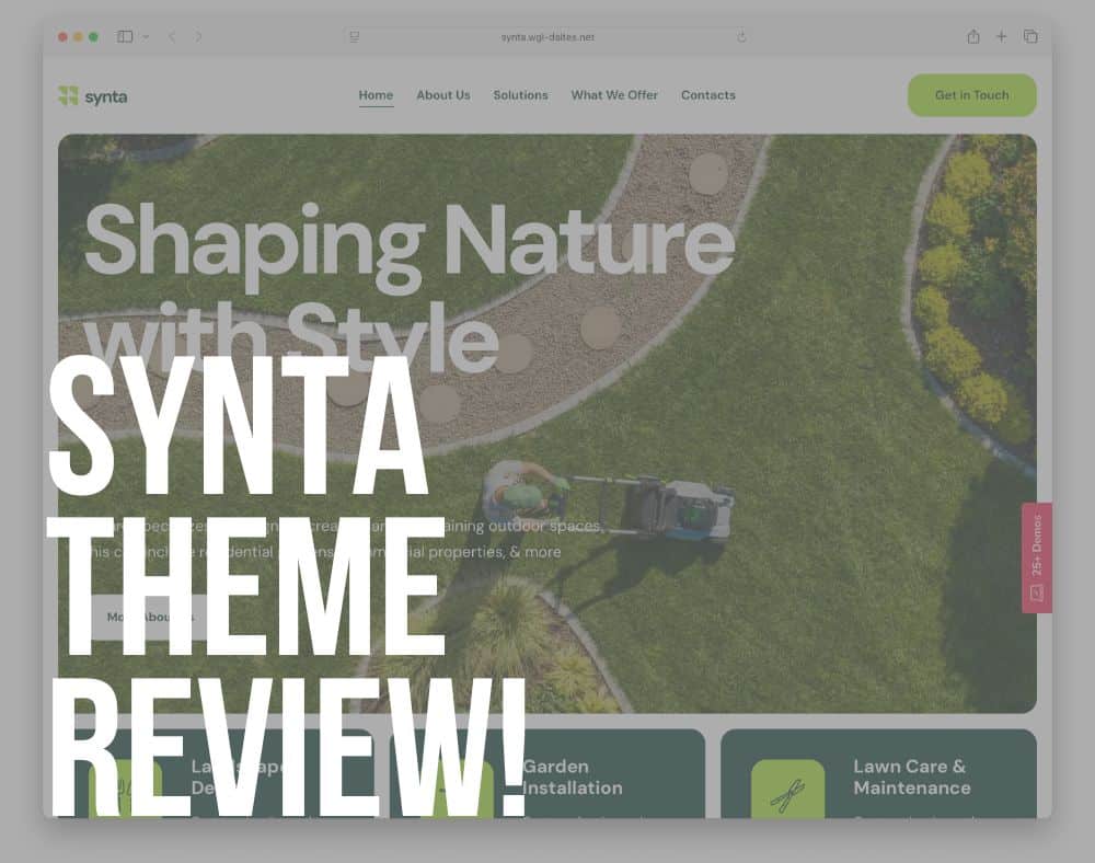 synta wordpress theme review