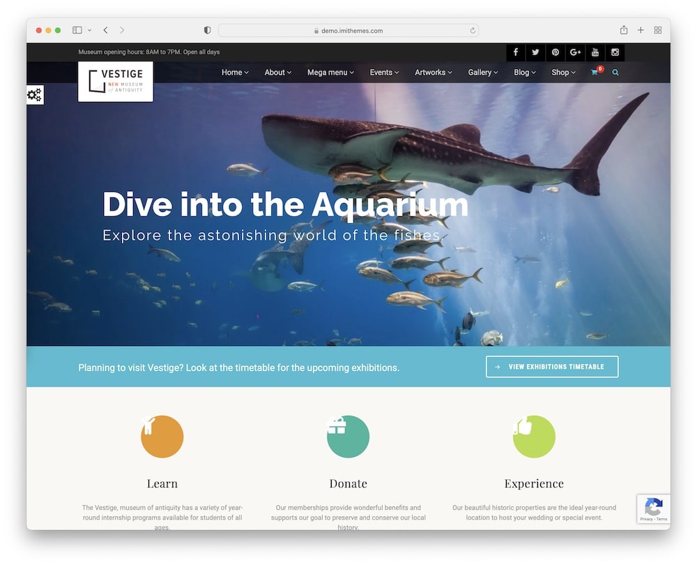 vestige wordpress museum theme