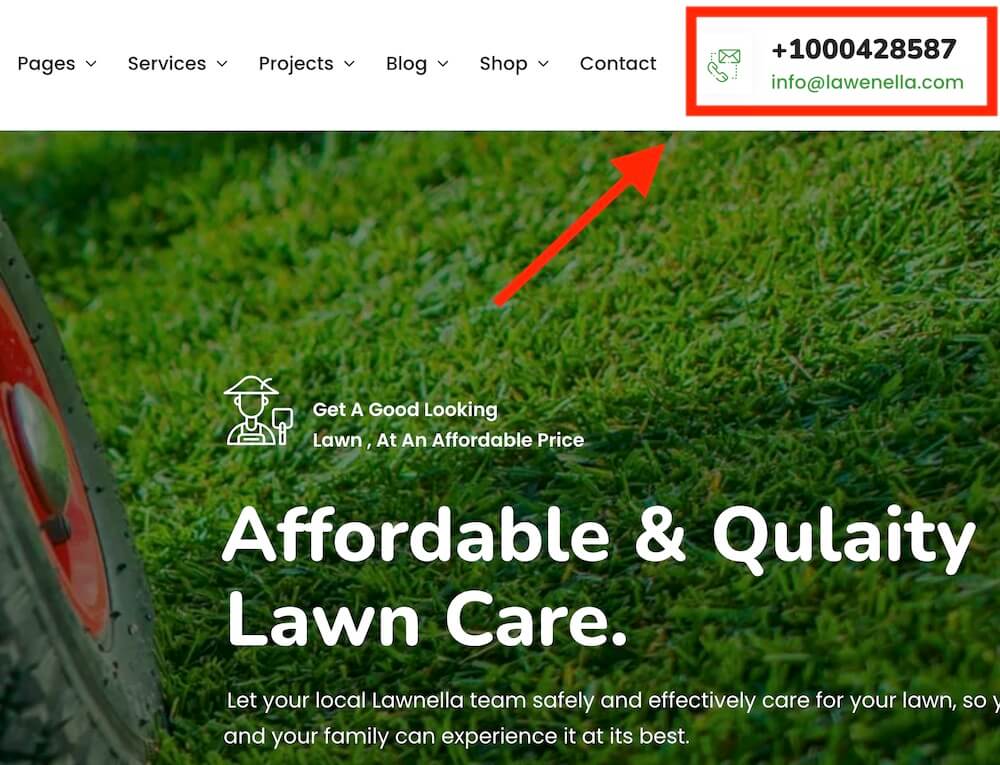 visible phone number for your tree services