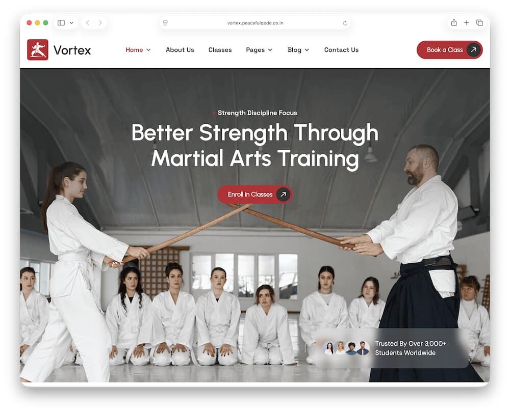 vortex karate wordpress theme