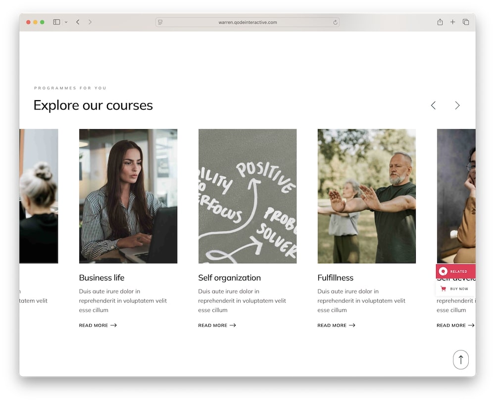 warren wordpress theme test