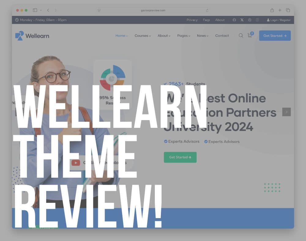 wellearn wordpress theme review