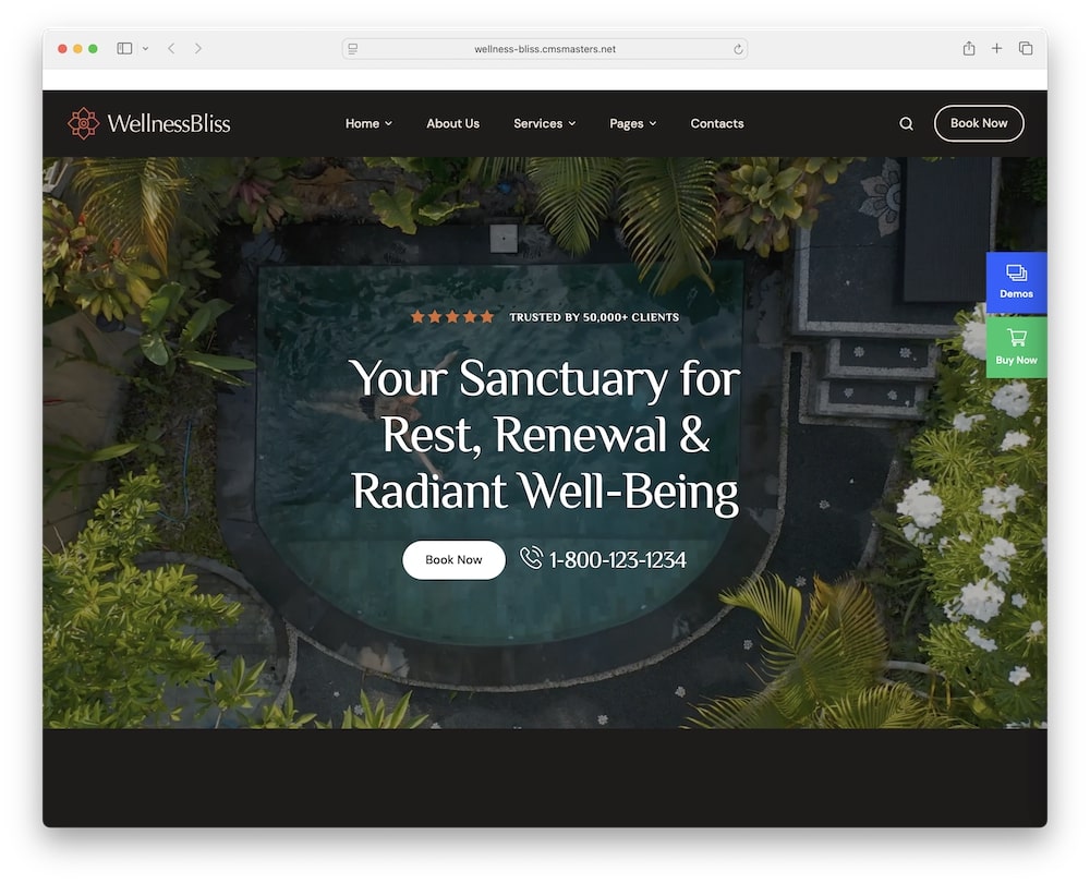 wellness bliss wordpress theme test