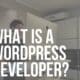 what is a wordpress developer