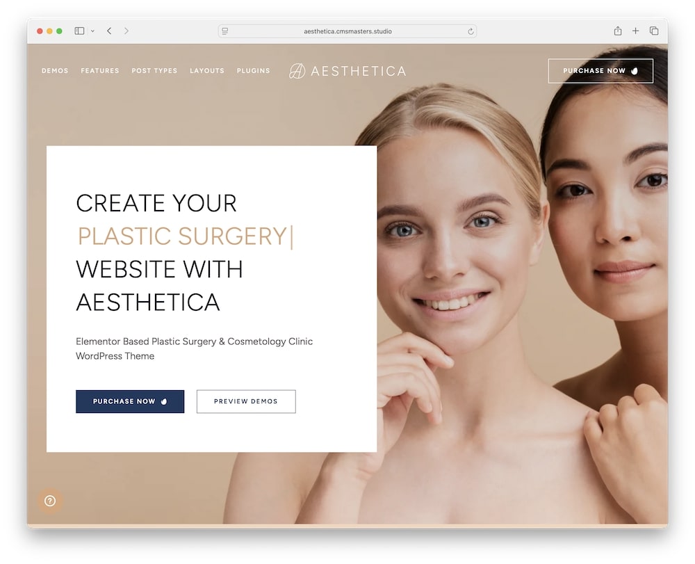 what is aesthetica wp theme