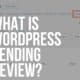 wordpress pending review
