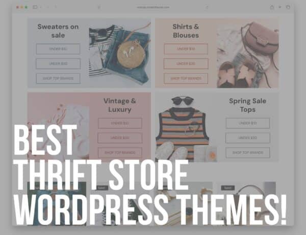 best wordpress thrift store themes