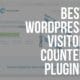wordpress visitor counter plugins