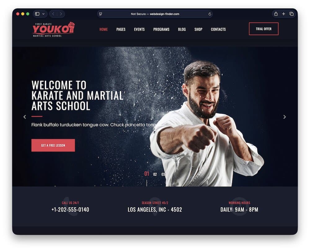 youko karate wordpress theme